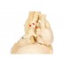 segmentowany model płuc - 3b smart anatomy- 1008494 [g70] 3b scientific modele anatomiczne 9